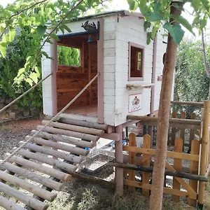  Gospodarstwo agroturystyczne Azienda Agrituristica Le Betulle